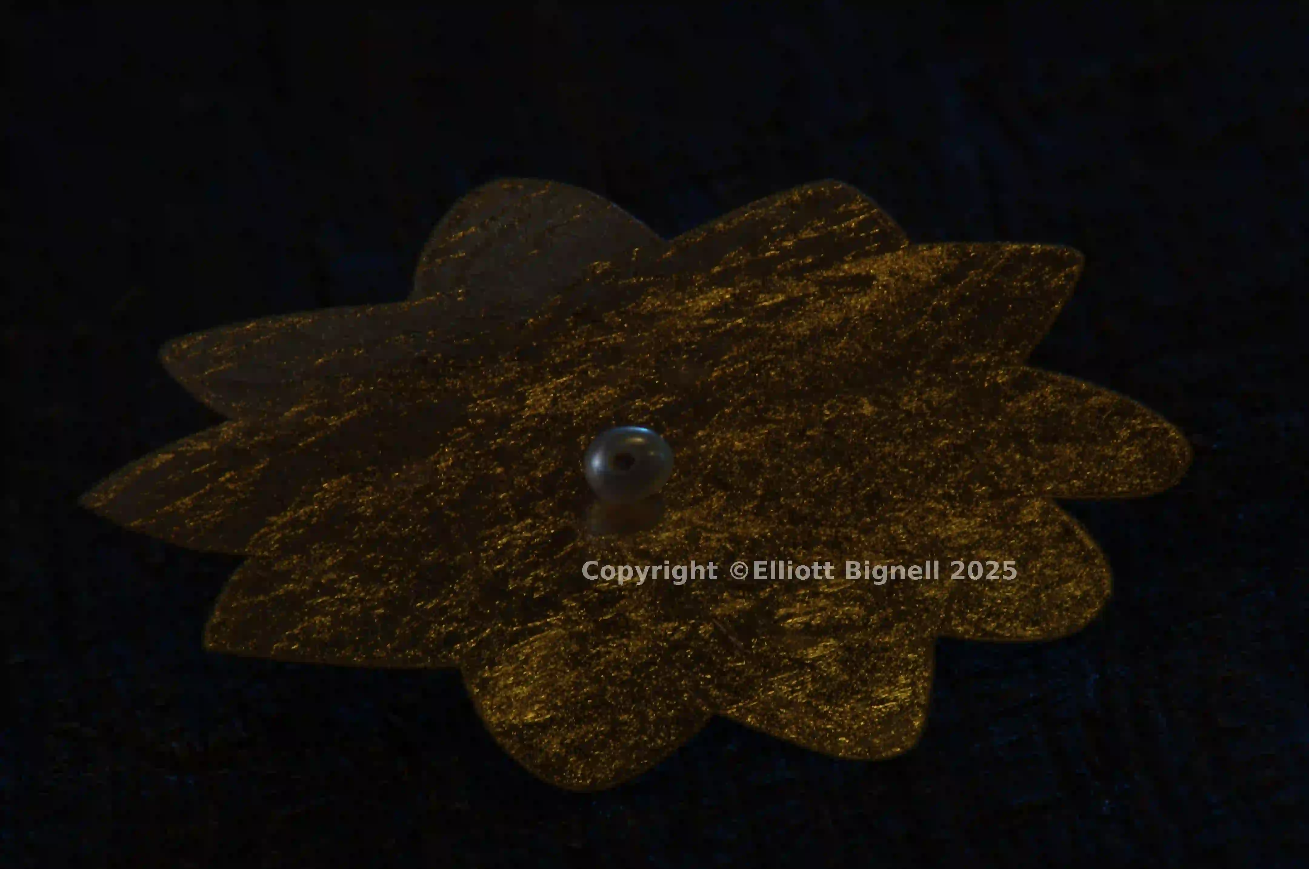 2013-11-10-20.33.58 ZS DMap.jpg